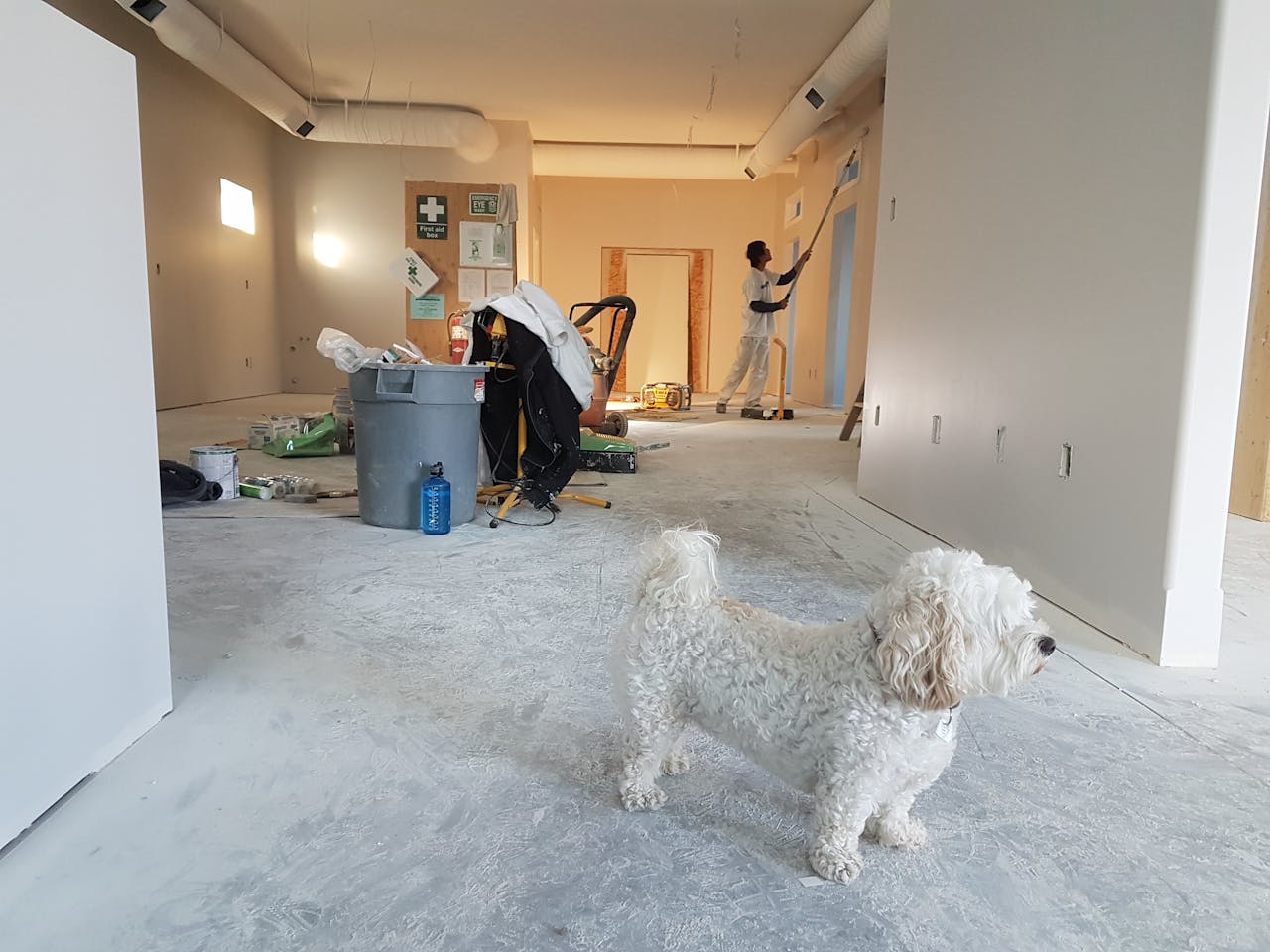 heros-img Interior renovation scene with a painter working and a dog in the foreground.